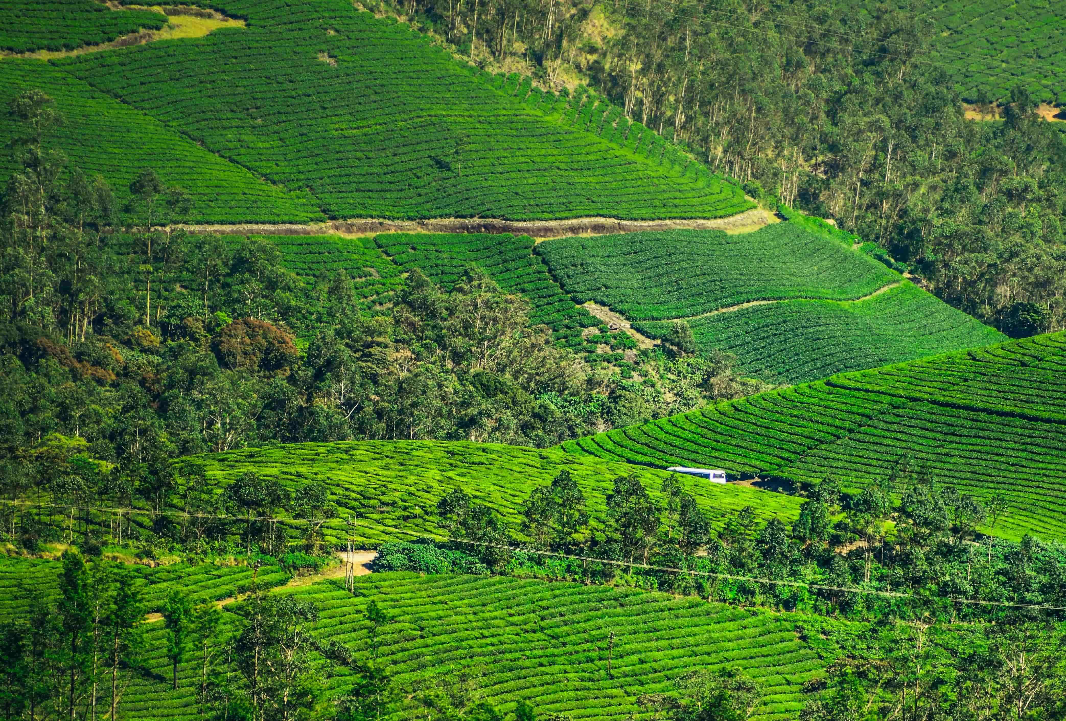 Kerala
